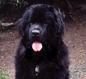 Marvin...finally awake.