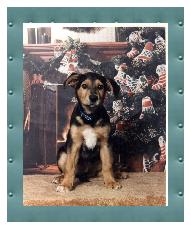 Morely's first Christmas