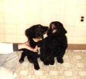 look what I found...can I keep them?